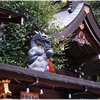 名神大社・恩智神社写真館(５/１６）