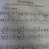 ブラームス　シューマンの主題による変奏曲　嬰へ短調　作品9/Brahms Variationen uber ein Thema von Schumann fis-moll Op.9