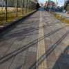 早朝散歩の風景　朝陽と影