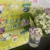 ＊〜海の日15日は通常通り定休日となります〜＊