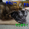 倍以上？？