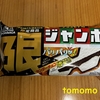 今夜のおやつ！森永製菓『チョコモナカジャンボ 限』を食べてみた！