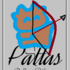 牡牛座「９ハウス」小惑星パラス　Pallas