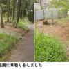 墓地公園の草取り