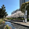 ２０２５年美術館巡り