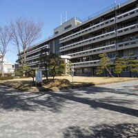19年度 国学院大学久我山中学校の繰り上げ合格 塾別合格者数 大学合格実績など入試結果のまとめ ゴロゴロ中学受験