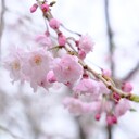 けんごの写真日記