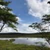 山歩き、家族の記憶〜八島湿原