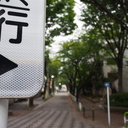 つれづれかもめ