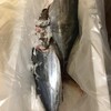 釣り女史が贈ってくれた魚達