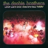 Doobie Brothers - What Were Once Are Now Habits：ドゥービー天国 -