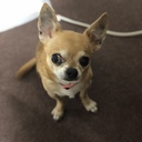 生きてる証を残してみる