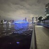 隅田川テラス5キロ：2日連続で短い距離を気持ちよく走った・・・そして月間目標に到達！