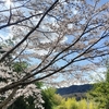 手紙の冒頭に使えそうな四字熟語（春編）