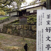 京都へお茶会とお花見