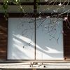 フォトグラファーには辛い日々