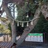 第35回社会福祉士試験前日・第25回精神保健福祉士試験当日【本番の心得】