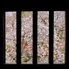 姫路城　レ～ヲ～タ
