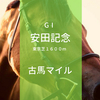 安田記念（2018年）は高速馬場で1分31秒台の決着になるのか？ーー注目馬は？