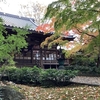 茨城県筑西市の最勝寺へ紅葉狩り