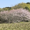 追慕の季節お疲れ様でした〜