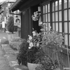感情の源はどこに