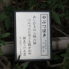 万葉集の世界に飛び込もう―万葉歌碑を訪ねて（その２５５２）―