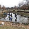 水元公園の生きもの達