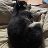 まろにー4230日目