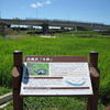 水の里公園オープン♪（千葉市中央区星久喜町）