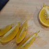 今年2016最後のレモン収穫