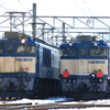 8560列車がEF64形1000番台4重連で運転