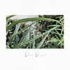 new single ”Dew Drops" です。