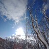 札幌は謎の夏日(笑)酔っぱらいおじさんです(笑)愛のしるしをゆるく弾き語りング( ･ω･)ﾉ。