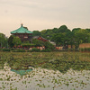 【写真修復・復元・複製・複写の専門店】台東区　上野公園「不忍池・辯天堂」