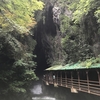 幻想的世界。山口県は秋吉台国定公園の秋芳洞にいってきた。