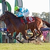 競馬初心者必見☆馬券予想🔥〜日経新春杯〜人気が割れた難解なレース
