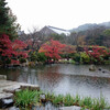 晩秋の古都 円山公園