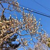 賃貸の更新、値上げがなくてホッ
