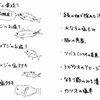 本日のオススメ！