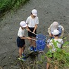 5年　平井川「川メモリ授業」