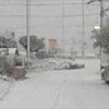 雪・・・でしたね