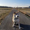 「みそ焼きうどん」と古い町並み「関宿」