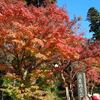 鎌倉紅葉散策①円覚寺