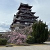 伏見城に登って、お花見をしてきました