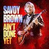 この人の、この１枚　『サヴォイ・ブラウン(Savoy Brown)／Ain't Done Yet』