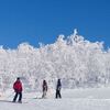 【北海道・旭川・カムイスキーリンクス】日本一のローカル穴場スキー場に、東京から日帰りスキーに行ってきた！！