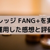 レバレッジ FANG+を実際に8か月運用してみた感想と評価
