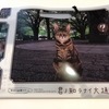 街歩き謎解きゲーム「君ノ知ラナイ大通公園」を遊んできました！