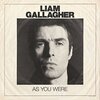 Liam Gallagher 『When I'm In Need』 和訳